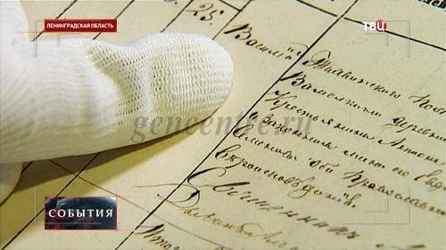 Старые книги на пути к новой жизни